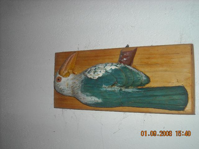 zdjęcie: A100_1100_0117.JPG