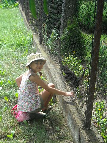 zdjęcie: A100_1100_0274.JPG