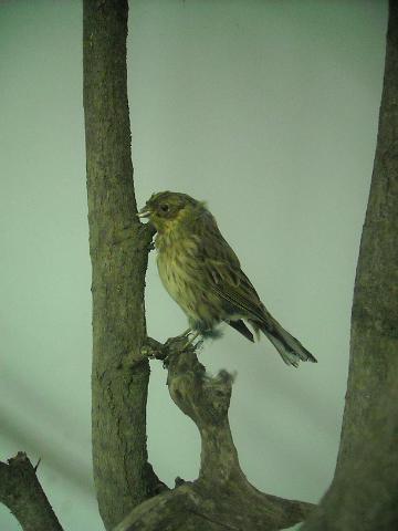 zdjęcie: A100_1100_0278.JPG