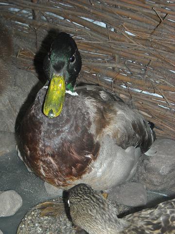 zdjęcie: A100_1100_0280.JPG