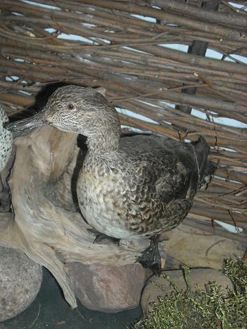 zdjęcie: A100_1100_0281.JPG