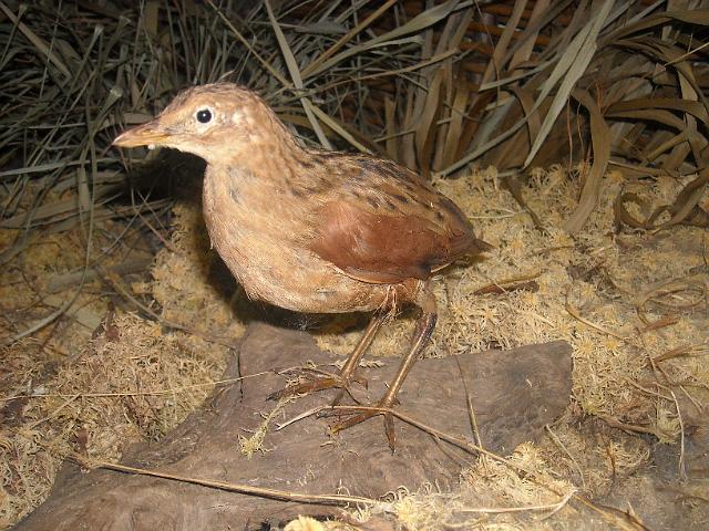 zdjęcie: A100_1100_0282.JPG