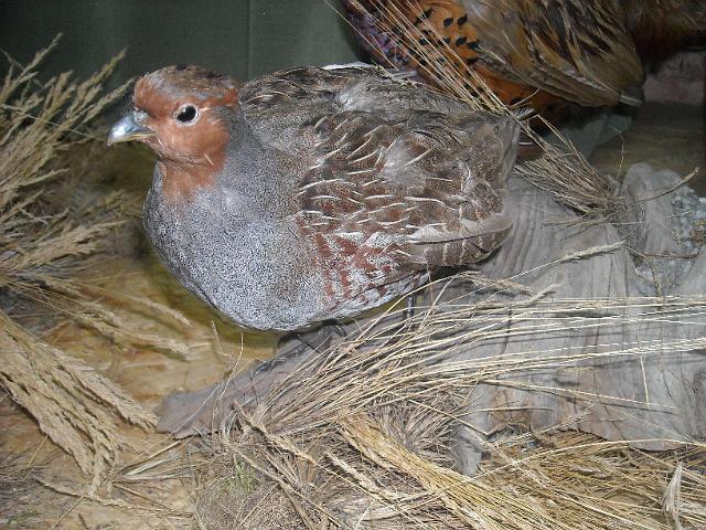 zdjęcie: A100_1100_0283.JPG