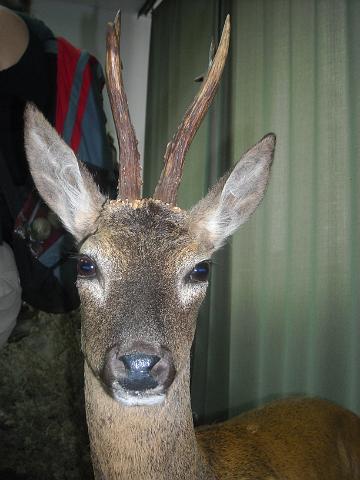 zdjęcie: A100_1100_0284.JPG