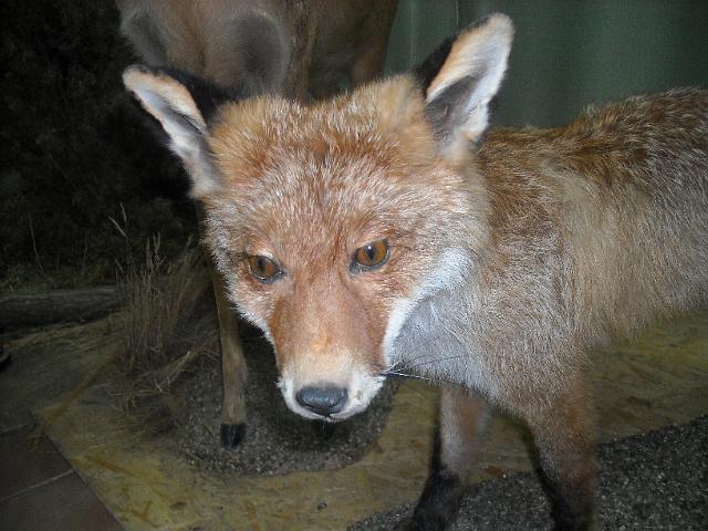 zdjęcie: A100_1100_0285.JPG