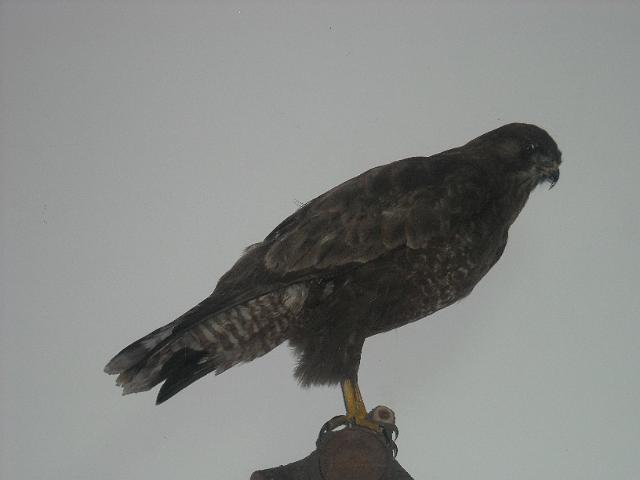 zdjęcie: A100_1100_0286.JPG