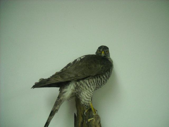 zdjęcie: A100_1100_0287.JPG