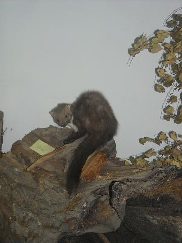 zdjęcie: A100_1100_0288.JPG