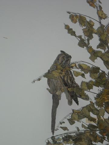 zdjęcie: A100_1100_0289.JPG