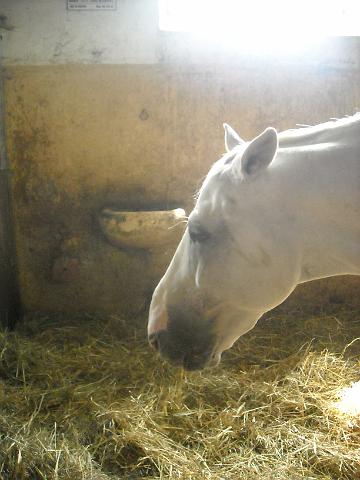 zdjęcie: A100_1100_0297.JPG