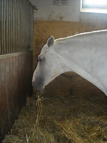 zdjęcie: A100_1100_0298.JPG