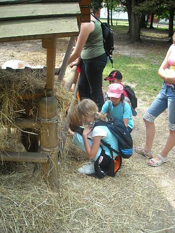 zdjęcie: A100_1100_0299.JPG