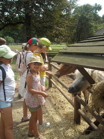 zdjęcie: A100_1100_0300.JPG