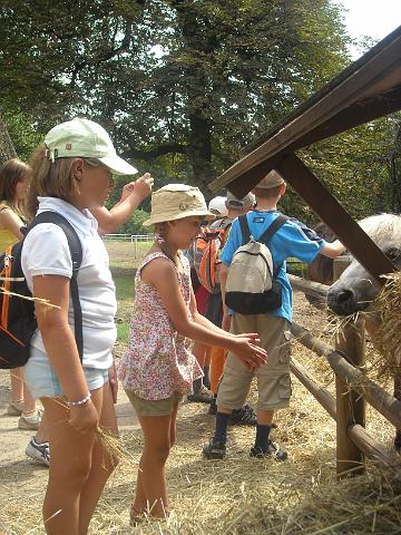 zdjęcie: A100_1100_0301.JPG