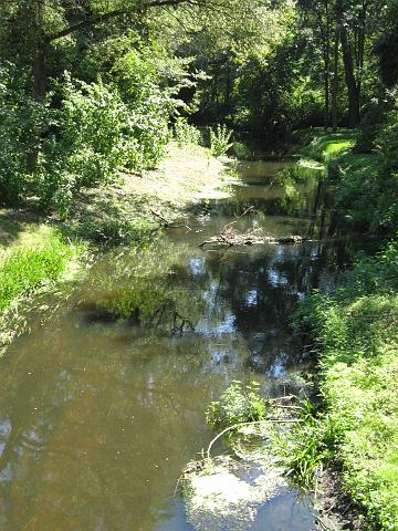 zdjęcie: A100_1100_0511.JPG