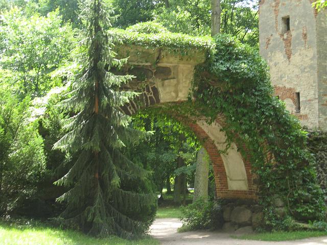 zdjęcie: A100_1100_0522.JPG