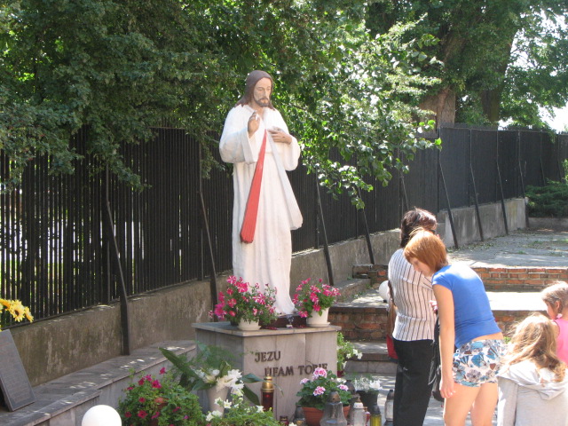 zdjęcie: A100_1100_0554.JPG