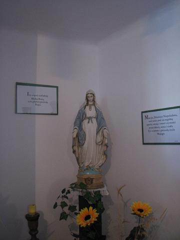 zdjęcie: A100_1100_0556.JPG