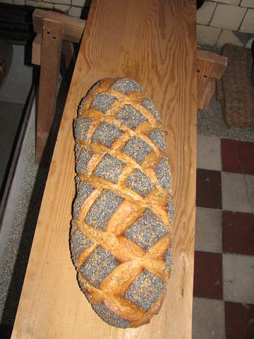 zdjęcie: A100_1100_0562.JPG