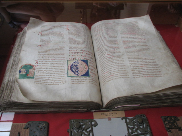 zdjęcie: A100_1100_0564.JPG