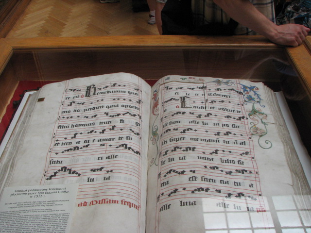 zdjęcie: A100_1100_0569.JPG