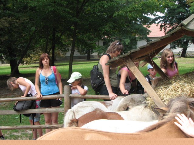 zdjęcie: A100_1100_0717.jpg