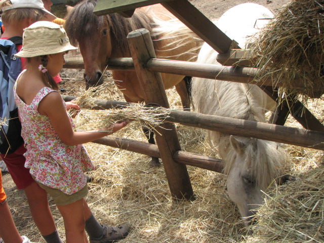 zdjęcie: A100_1100_0718.jpg