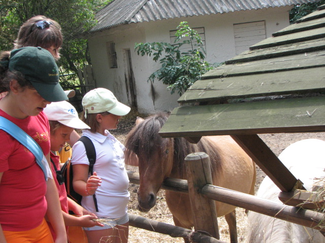 zdjęcie: A100_1100_0719.jpg