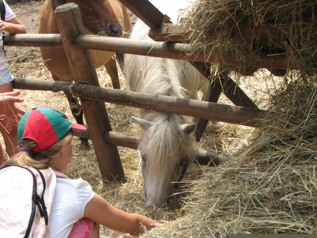 zdjęcie: A100_1100_0720.jpg