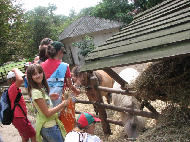 zdjęcie: A100_1100_0721.jpg