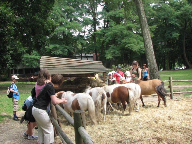 zdjęcie: A100_1100_0723.jpg