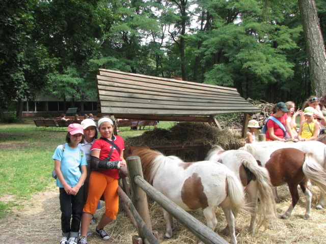 zdjęcie: A100_1100_0726.jpg