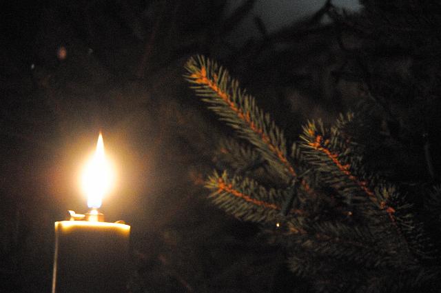 zdjęcie: DSC_3919.JPG