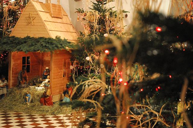 zdjęcie: DSC_3957.JPG