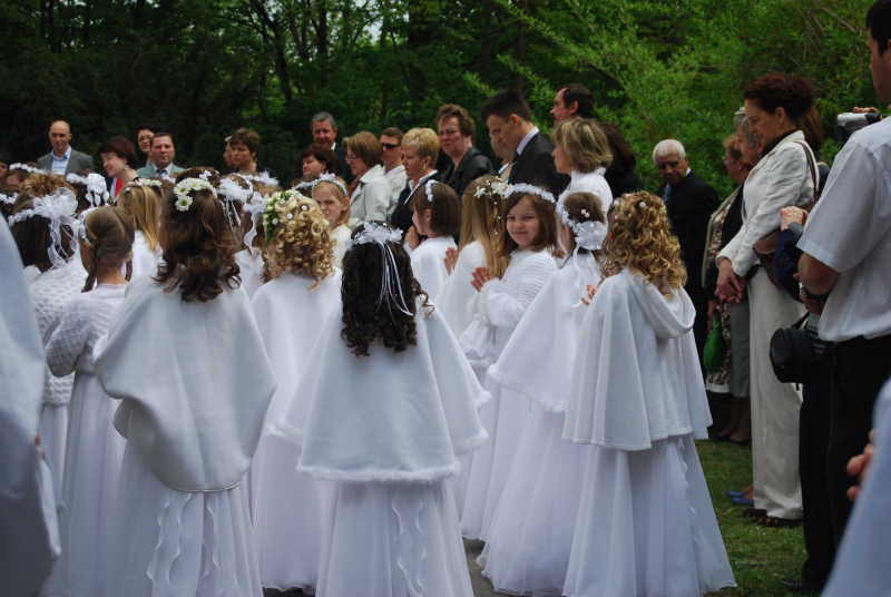 zdjęcie: DSC_0141.jpg