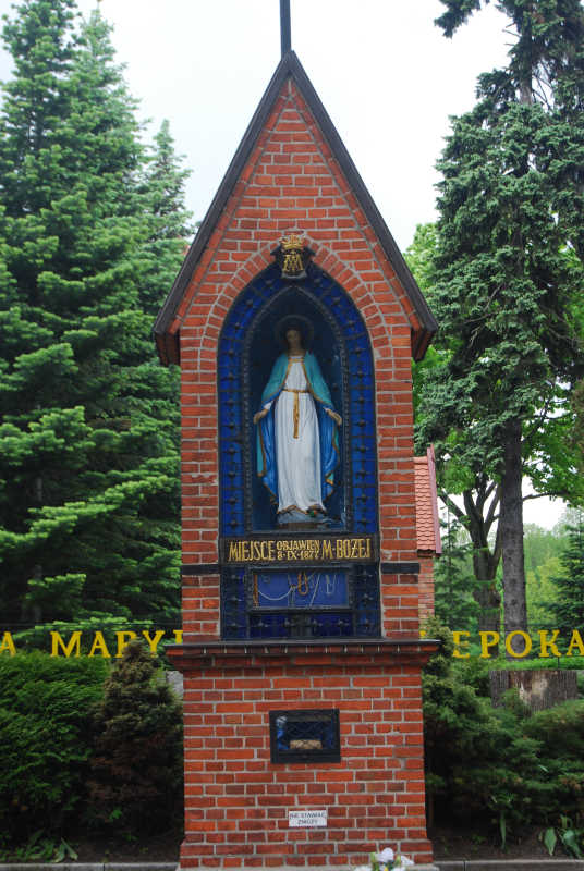 zdjęcie: DSC_0079.jpg