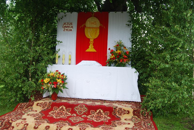 zdjęcie: DSC_01_0252.JPG