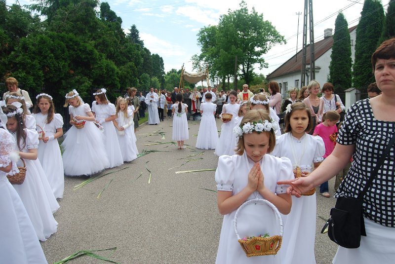 zdjęcie: DSC_0272.JPG