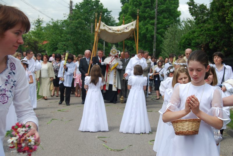 zdjęcie: DSC_0350.JPG