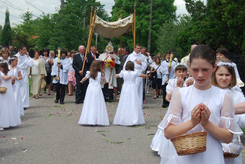 zdjęcie: DSC_0351.JPG