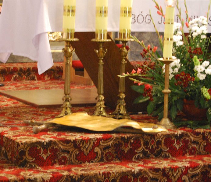 zdjęcie: DSC_0001.jpg