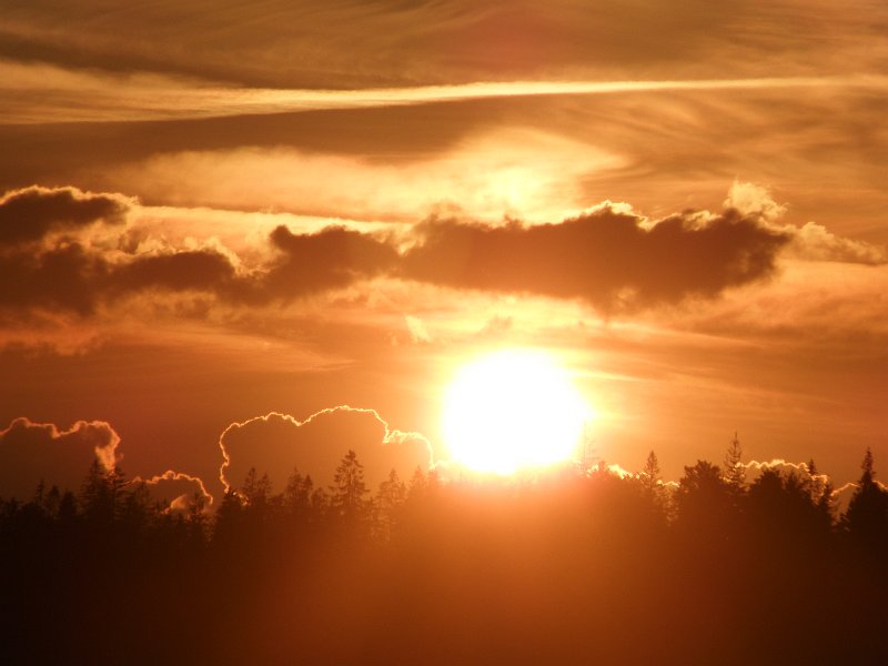 zdjęcie: oboz_2010_1635.JPG