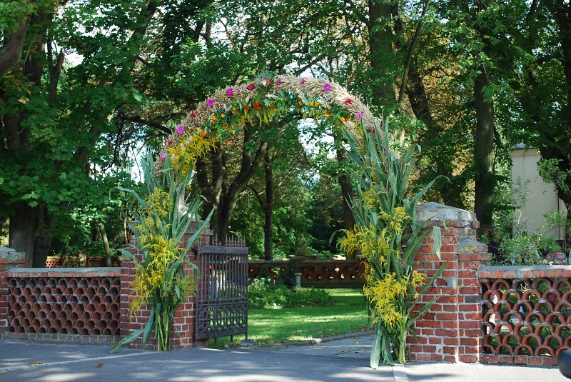 zdjęcie: DSC_0001.JPG