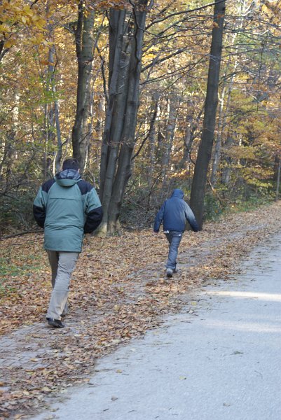 zdjęcie: DSC09487.JPG