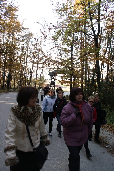 zdjęcie: DSC09490.JPG