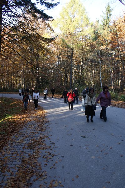 zdjęcie: DSC09491.JPG