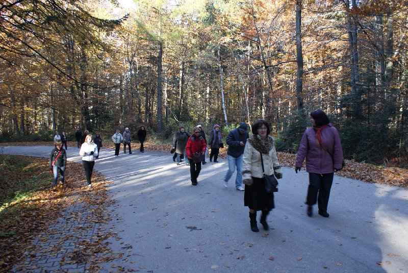 zdjęcie: DSC09492.JPG