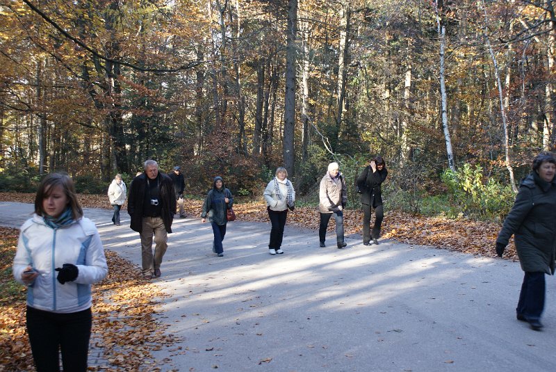 zdjęcie: DSC09494.JPG