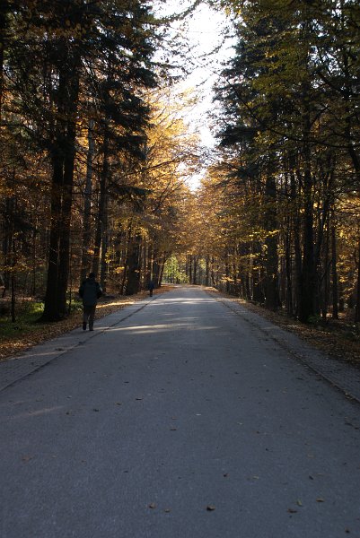 zdjęcie: DSC09497.JPG