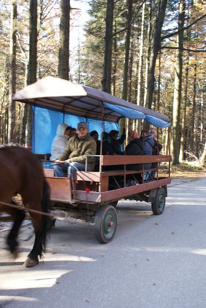 zdjęcie: DSC09499.JPG